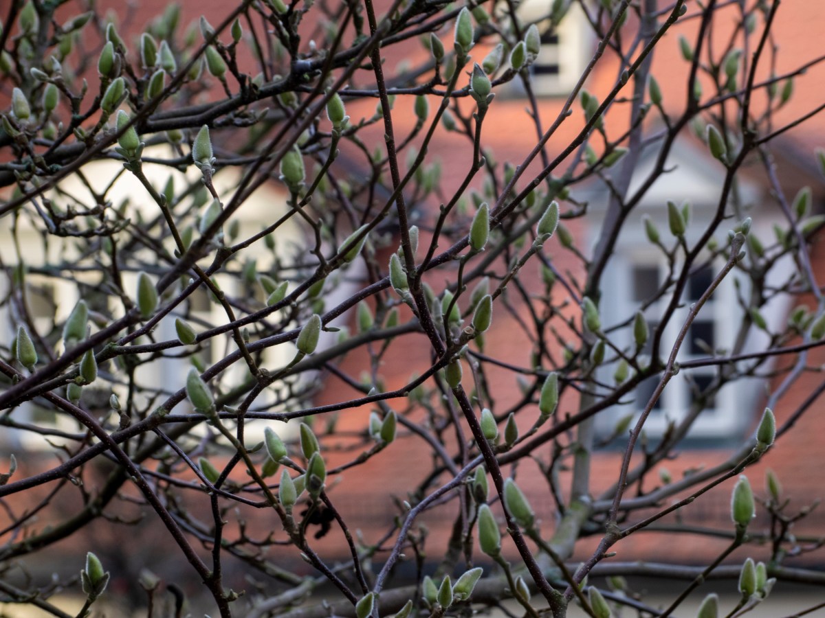 House of Salted&nbsp;Caramel